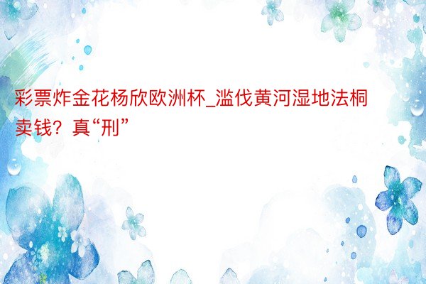 彩票炸金花杨欣欧洲杯_滥伐黄河湿地法桐卖钱？真“刑”