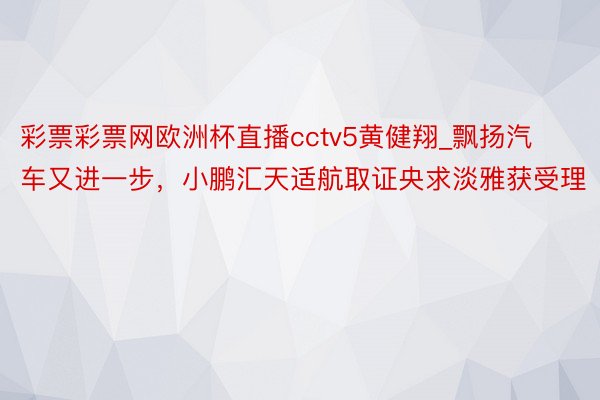 彩票彩票网欧洲杯直播cctv5黄健翔_飘扬汽车又进一步，小鹏汇天适航取证央求淡雅获受理