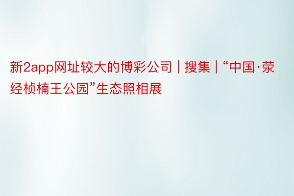 新2app网址较大的博彩公司 | 搜集 | “中国·荥经桢楠王公园”生态照相展